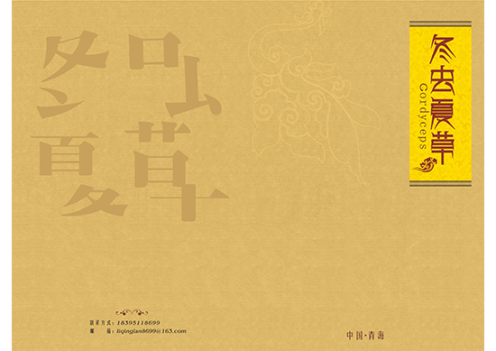 &#29699;&#36895;&#20307;&#32946;&#40;&#20013;&#22269;&#41;&#23448;&#26041;&#32593;&#31449;&#45;&#119;&#101;&#108;&#99;&#111;&#109;&#101;